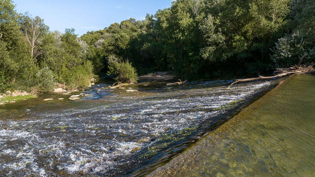 Ecluse sur l'Argens