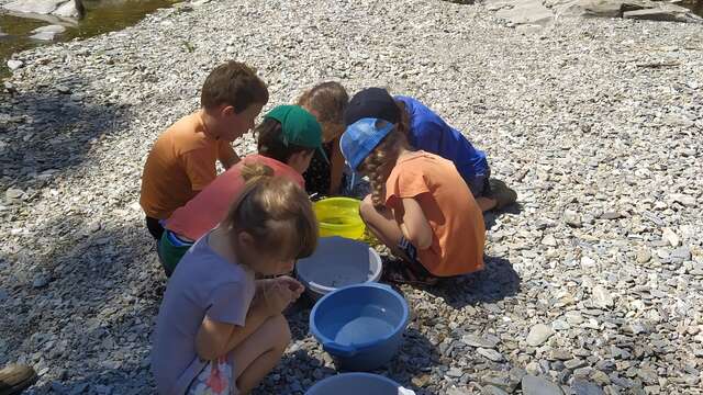 Animation Nature : Le Petit Peuple de l'Eau