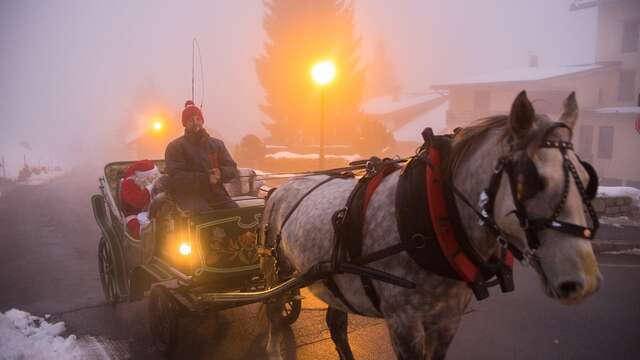 Balade en calèche avec le Père-Noël