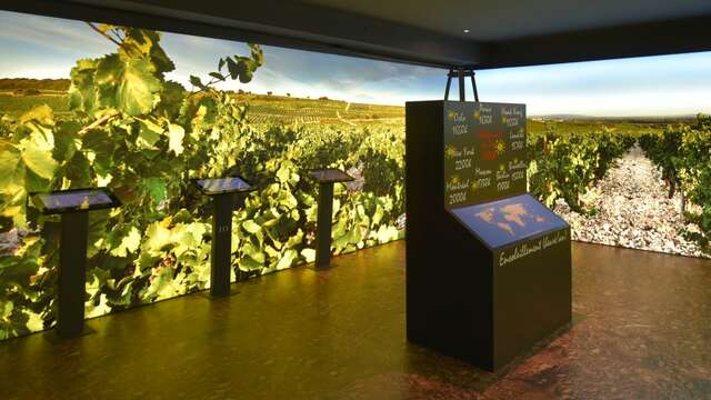 Le Parcours Découverte au Musée du Vin Maison Brotte