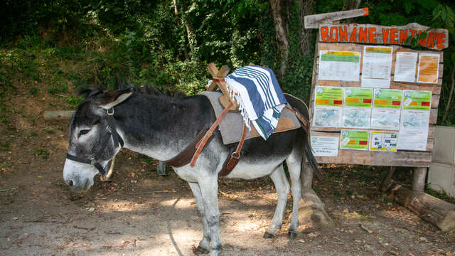 "La rando liberté" avec les ânes de Bon'âne-Venture