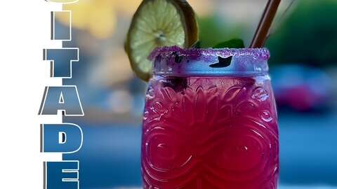 Brasserie - Bar à Vins Le Prim'Ose