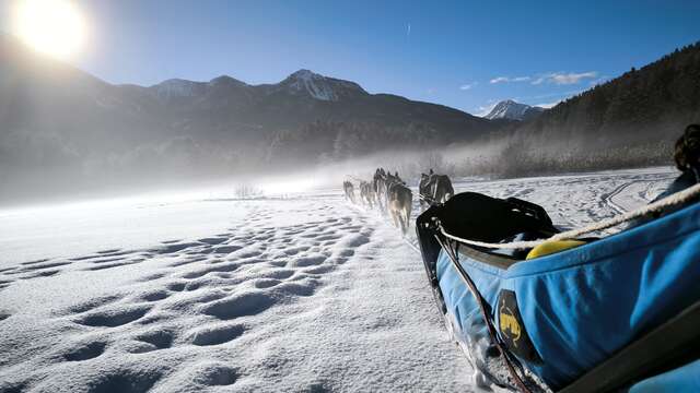 Baptême en traîneau à chiens - L'Empreinte nordique