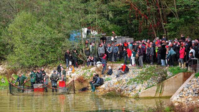 Journées Découverte Poissons de Dombes