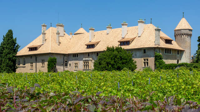 Domaine de Ripaille - Vin de Ripaille