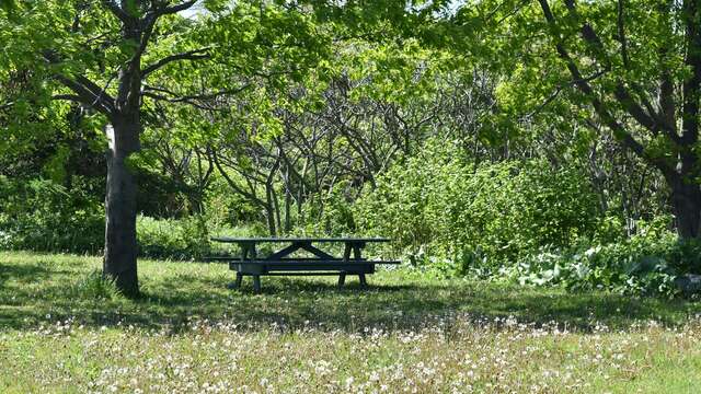 Aire de pique nique D'Aiglun