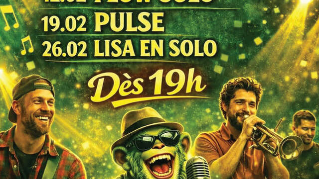 Live concert at Green Monkey Pub: Flow solo