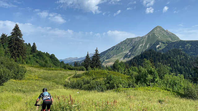 Sortie VTT enduro & E-bike dans la Vallée d'Abondance