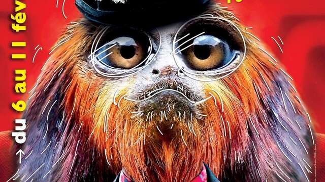 Festival À vous de voir