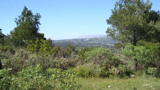 Le Mont du Marseillais - Journée