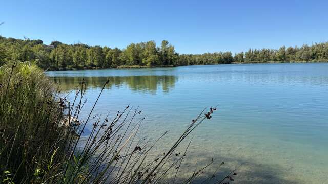 Lac de pêche Joël Siguret