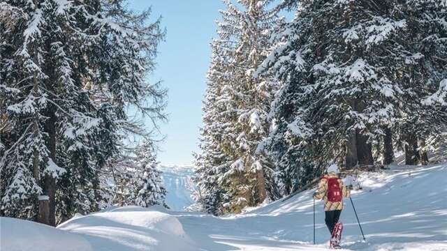 Boucle découverte du Plateau de la Ramée