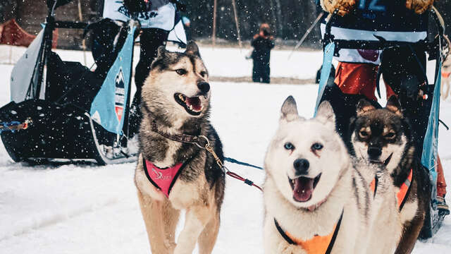 La Grande Odyssée - L'Odyssée des Enfants