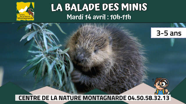La Balade des Minis : le mini castor