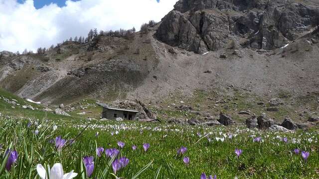 Col Garnier par le Lac du Lauzet