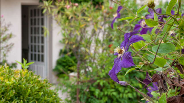 Salon de Thé dans le jardin de l'Hôtel la Maison Douce