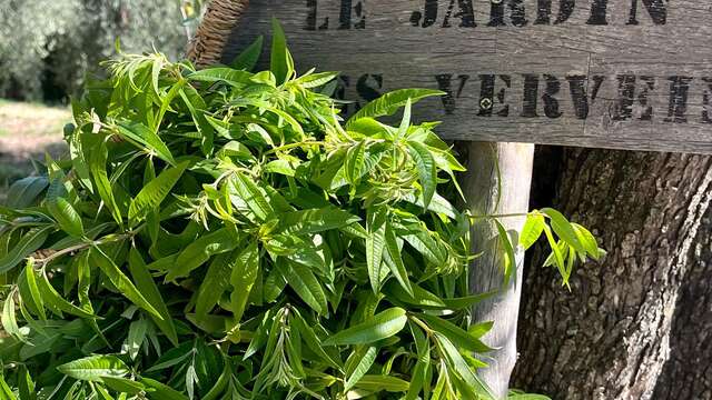 Le Cirier d'Auribeau et les Terres de Saint-Sauveur : Une matinée au coeur d’un territoire d’exception avec déjeuner