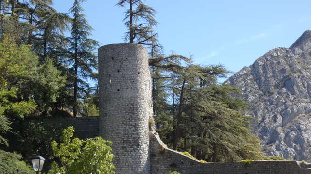 Visite guidée : à la découverte des fortifications de Sisteron