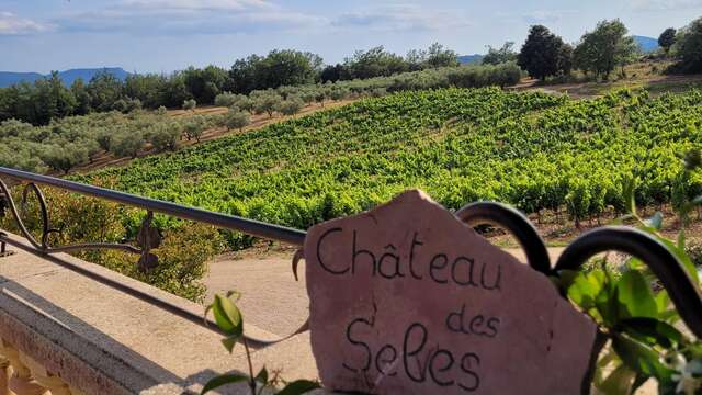 Déjeuner et après-midi musicale au Château des Selves