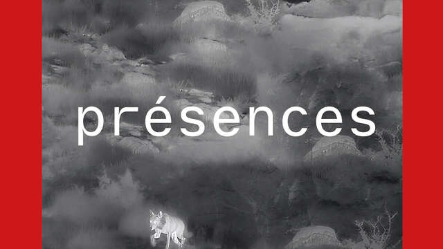 Visite guidée de l'exposition "Présences"