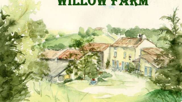 Les iris - Willow Farm