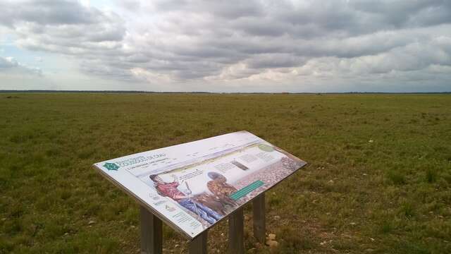 Sentier Peau de Meau, au coeur de la Réserve naturelle nationale des Coussouls de Crau