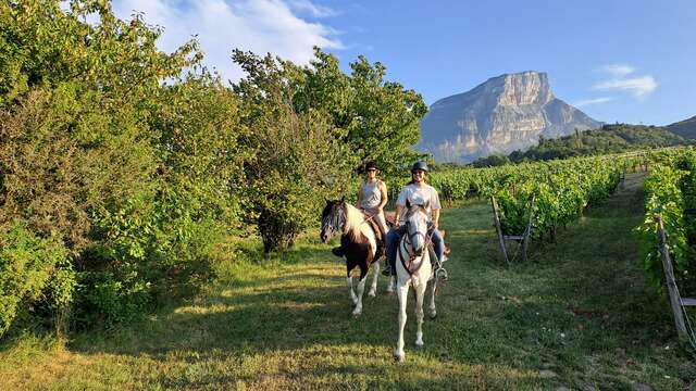 Randonnée à la journée, vignes & contreforts de Chartreuse en duo