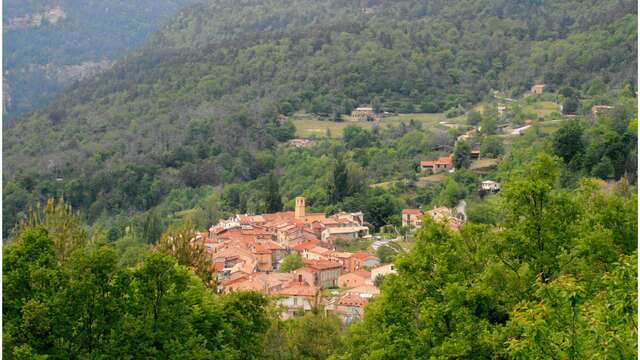 Braux