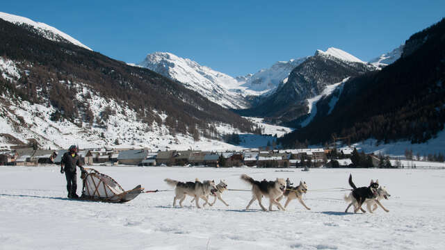 Balade en traîneaux à chiens