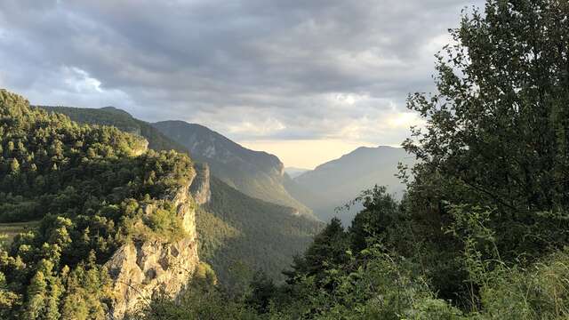 Découvrir les plantes médicinales et comestibles
