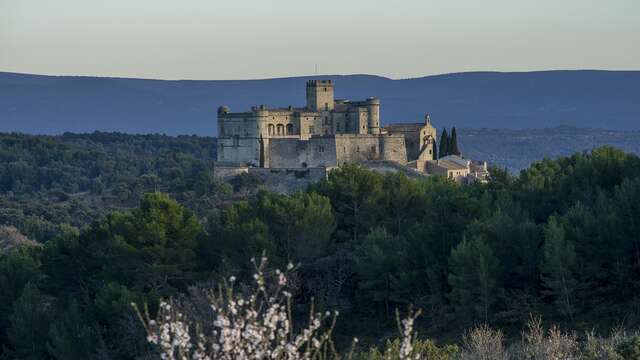 Visitez le Château du Barroux