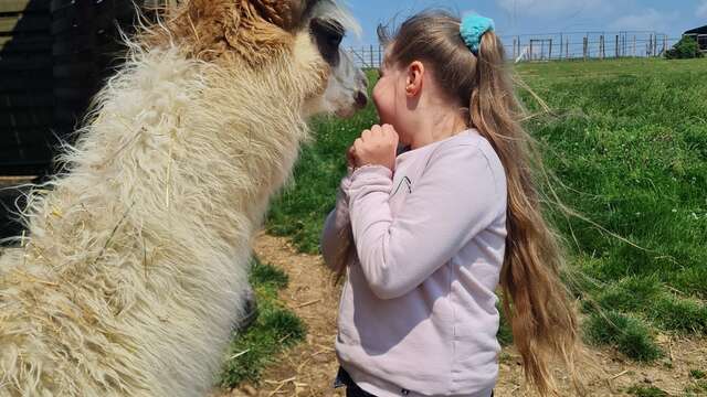 little zookeeper workshop