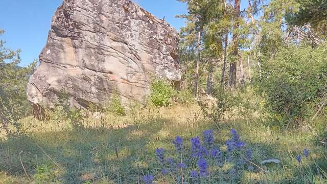 VTT n°10 - La Grosse Pierre