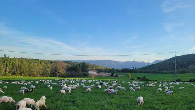 La Ferme des Riailles