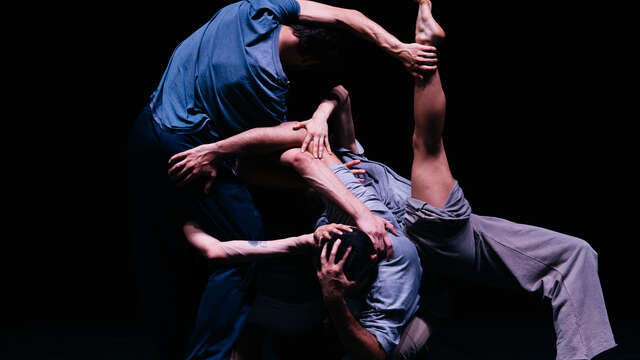 Companhia Paulo Ribeiro & Orchestre national de Cannes - "Louis Lui"