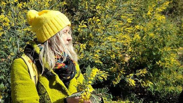 Le mimosa et ses compagnons de Tanneron- balade guidée