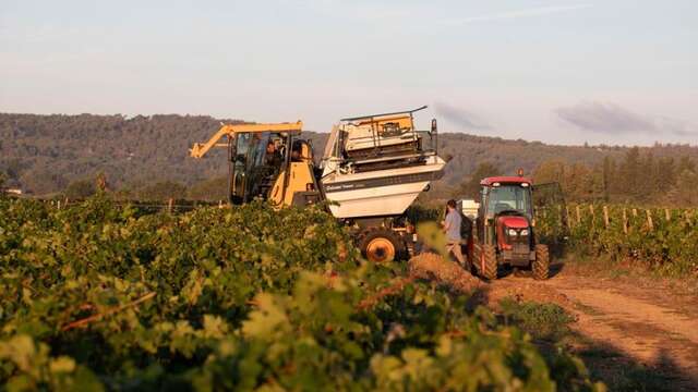 visite de la Passion - vendanges et BASTIDE
