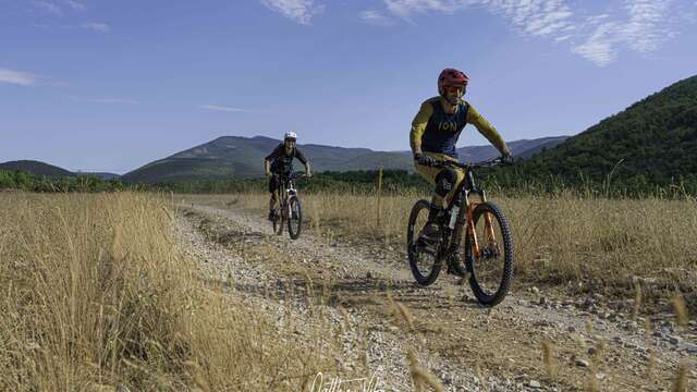 MTB n°1 - 'Grand Tour de Forcalquier à la Montagne de Lure' (Grand Tour from Forcalquier to the Montagne de Lure)