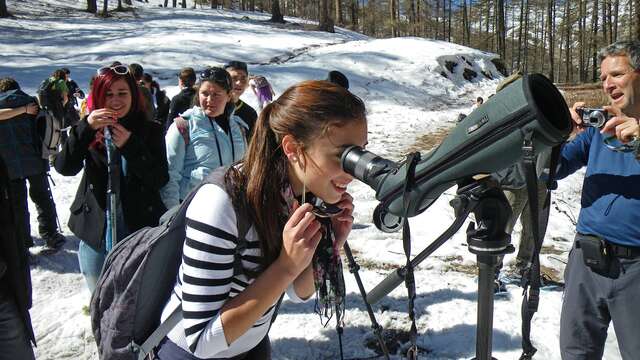 Le Mercantour en hiver : à la découverte d’une nature fragile