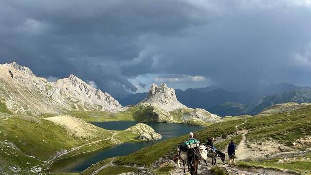 Tis'ânes, Séjours Nature Alpes et Luberon