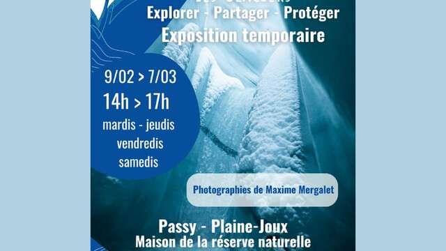 Mostra temporanea "I ghiacciai