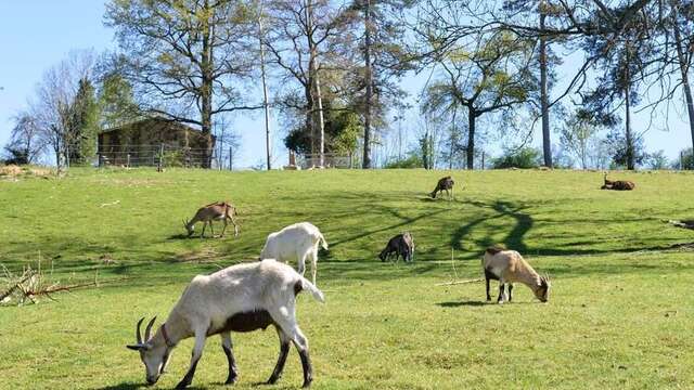 Ferme d'animation Domaine de la Doux
