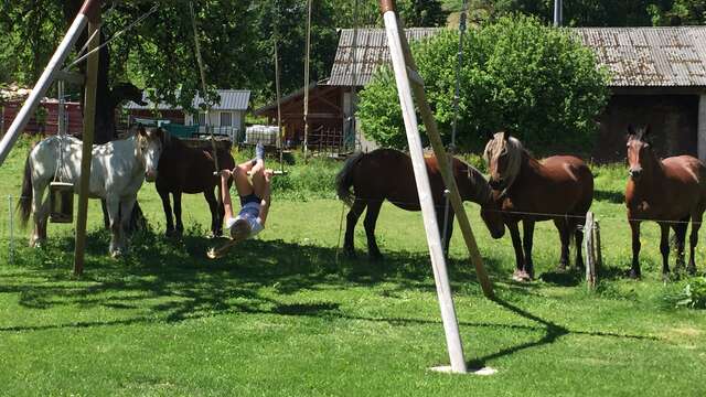 La Ferme du Reset