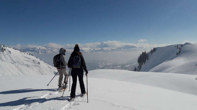Sortie accompagnée en raquettes à neige : Un voyage au rythme des flocons