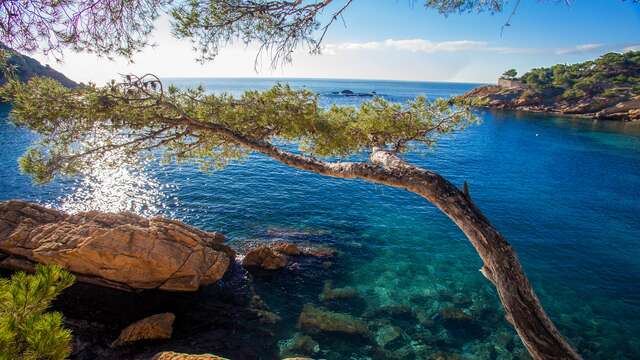 Parc marin de la Côte Bleue