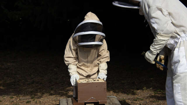 Ateliers découverte de l'apiculture - Happy Culture