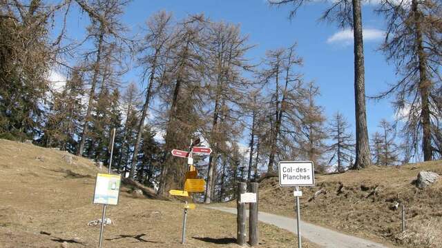 Col des Planches Bike N°778