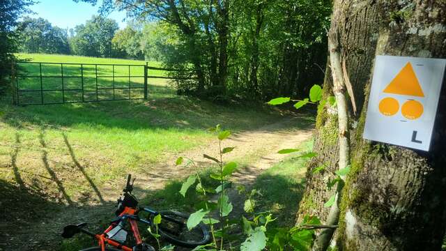 Circuit VTT-VTC n°7 (rouge) - Les Grandes terres de Marboz