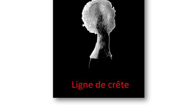 Alexandra Pitz - ligne de crête
