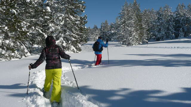 Raquettes à neige avec Angaka Village Nordique